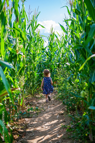 Little girl running away in the corn field
