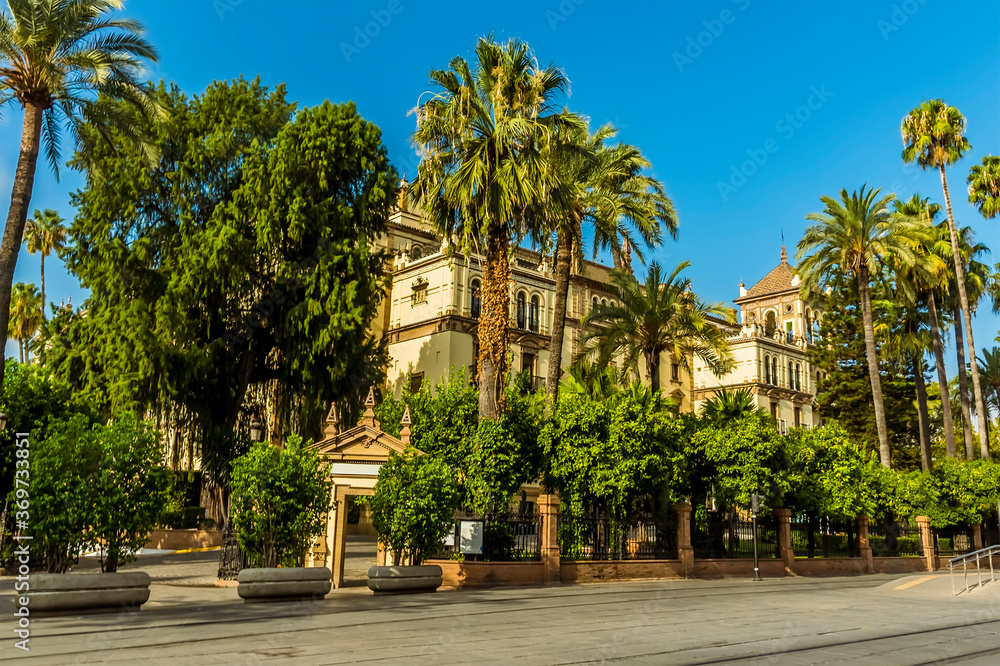A view along a street in Seville, Spain in the summertime A view along a street in Seville, Spain in the summertime