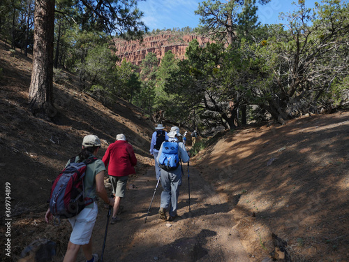 Mature friends hiking together on a trail through the forest