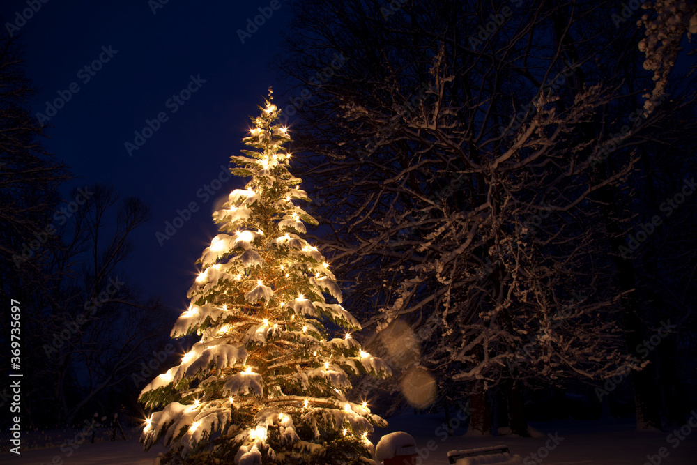 Beleuchteter Weihnachtsbaum im Schnee / Winter bei Nacht