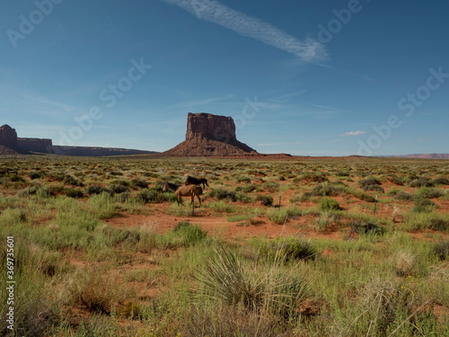 Horses and and towering sandstone butte in the Southwest desert