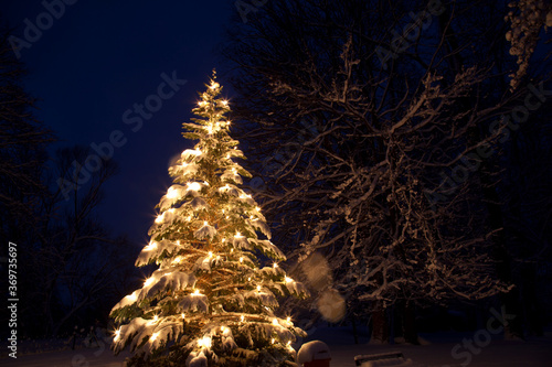Beleuchteter Weihnachtsbaum im Schnee / Winter bei Nacht photo