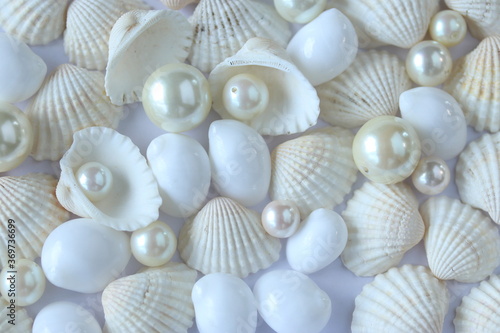 夏イメージ 真珠と貝殻の背景