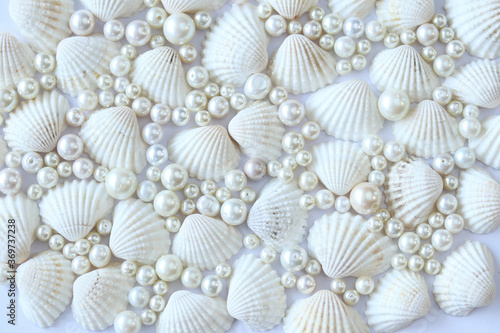 夏イメージ 真珠と貝殻の背景
