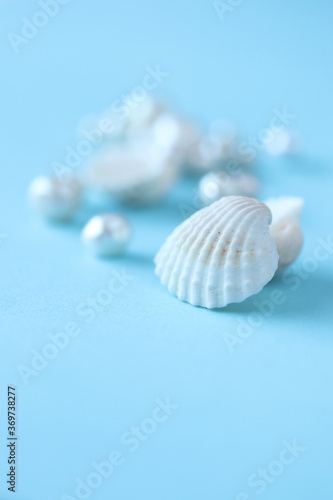 夏イメージ 貝殻とパールの背景