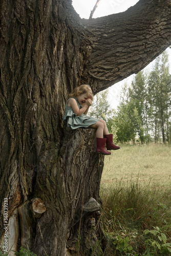 Little girl sitting on a very big tree