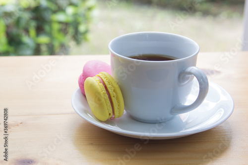 Tea time in the garden. Macaron and coffee in white mug on the table.