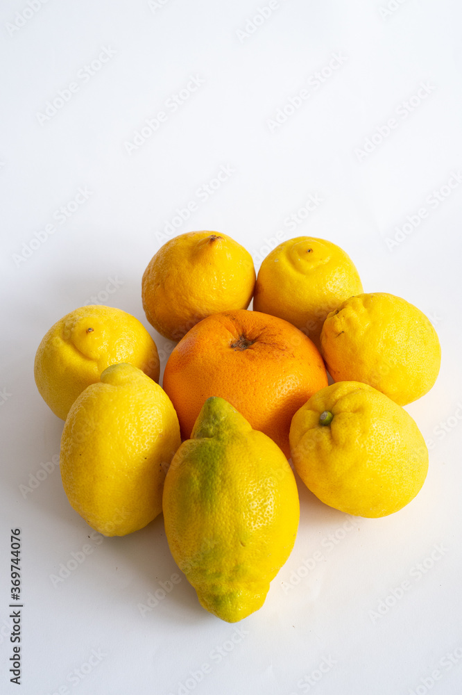 Beautiful citrus fruit arranged on the background Beautiful citrus fruit arranged on the background