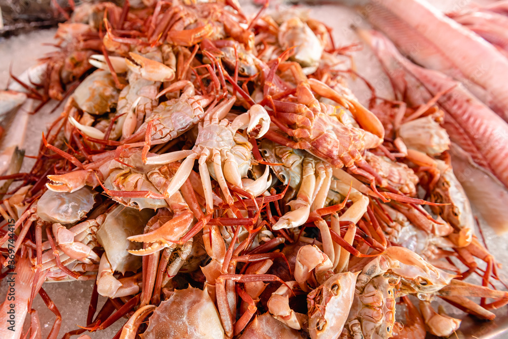 Fresh seafood at the fish market in Ciutadella, on the island of Menorca. Spain Fresh seafood at the fish market in Ciutadella, on the island of Menorca. Spain