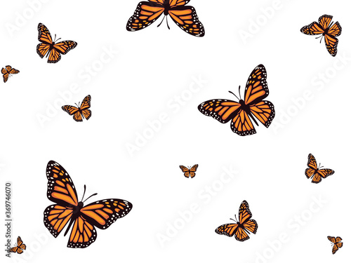 Cartoon butterflies pattern with white background