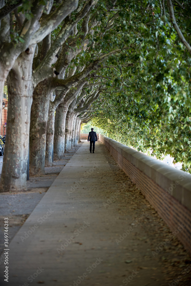 homme marchant seul en ville sous une allée d'arbres 