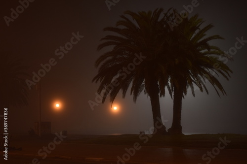 Fog in Montevideo - Uruguay.
Noche de niebla en Montevideo - Uruguay.