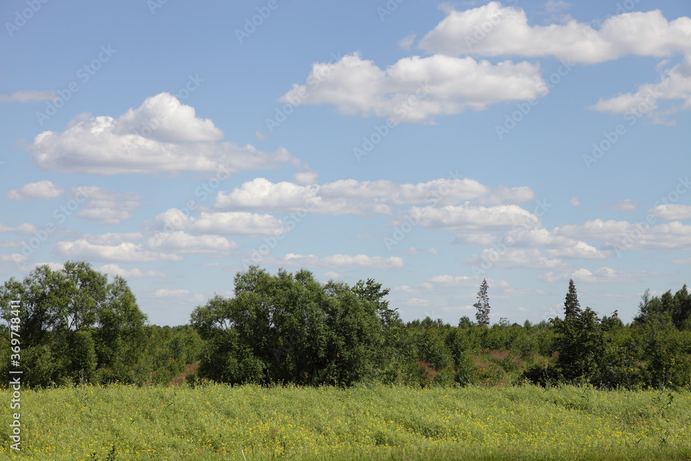 Beautiful roadside rural landscape, green field with bushes and trees on summer day against a blue sky with white clouds on the horizon, country life nature good weather landscape