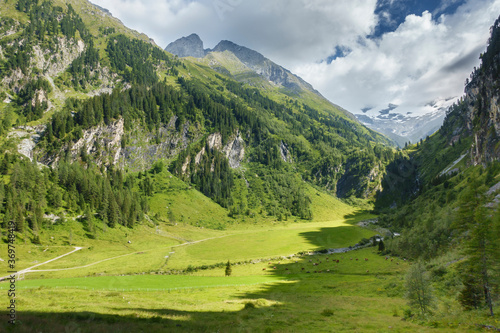 Talschluss mit Almkühen auf einer Kuhweide in Tirol
