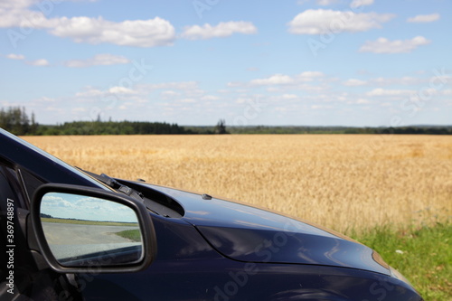 Car fragment with mirror on Golden field and blue sky with white clouds beautiful background, ecological car travel in Europe country