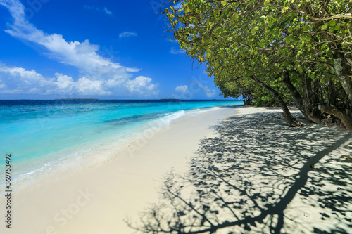 Fototapeta Naklejka Na Ścianę i Meble -  Green brush and it's shadow on a white sand beach of bright blue sea of Maldives.