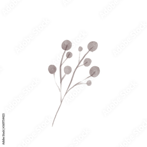 simple botanical illustration of brach with leaves and berries. can be used for wedding invitations or