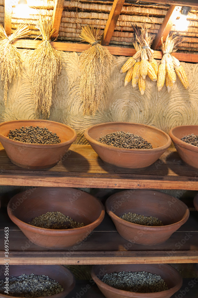 Roasted Coffee, Photographed on a cofee farm in Ubud, Bali, Indonesia. Coffee is produced from beans that have been eaten and defecated by civets. Kopi Luwak