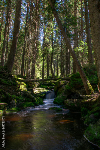 Cascades on Filipohutsky stream - Czechia