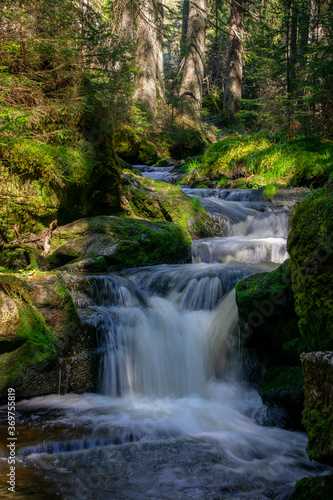 Fototapeta Naklejka Na Ścianę i Meble -  Cascades on Filipohutsky stream - Czechia