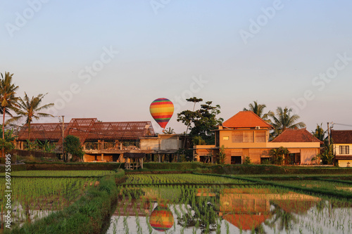 Beautiful Rice Terrace, Ubud, Bali, Indonesia and Air Balloon