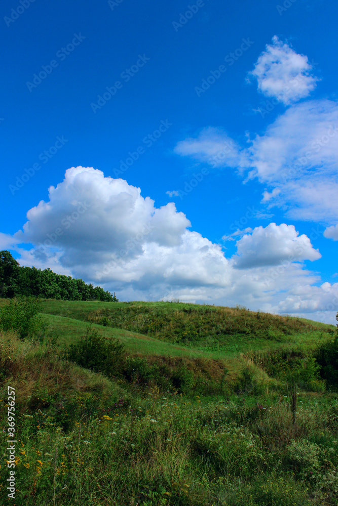 Green field and blue sky background. Landscape, nature concept. Nature Background. Green field and blue sky background. Landscape, nature concept. Nature Background.