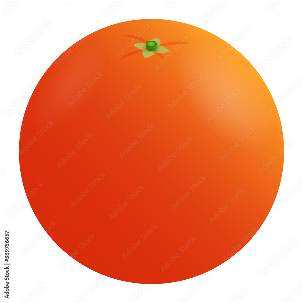 Vector illustration of an orange Vector illustration of an orange
