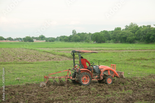 Tractor working plows a field on the farm for planting.