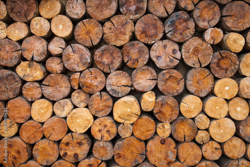 Wooden natural sawn logs as background. Wooden natural sawn logs as background.