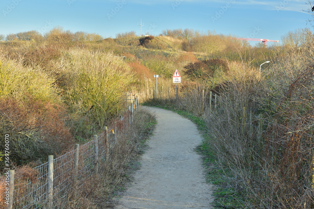 Fototapeta premium A path for bicycles among trees and bushes on a sunny day.