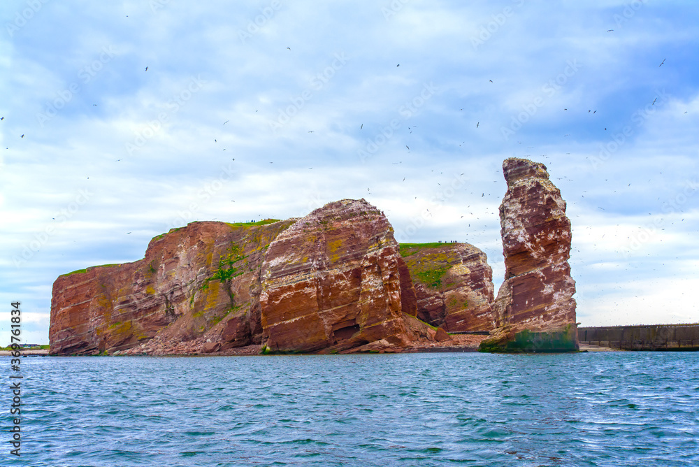 Felsen der Küste von Helgoland mit Brutkolonien der Basstölpel und der Trottellummen.