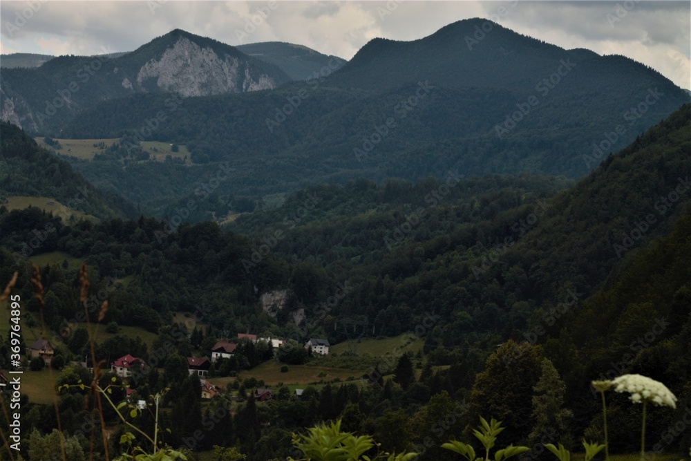 A beautiful village on Carpathian mountain with nice buildings, hills, forest, stone