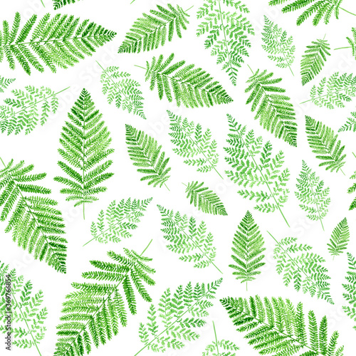 Watercolor illustration of ferns. seamless pattern on a white background.