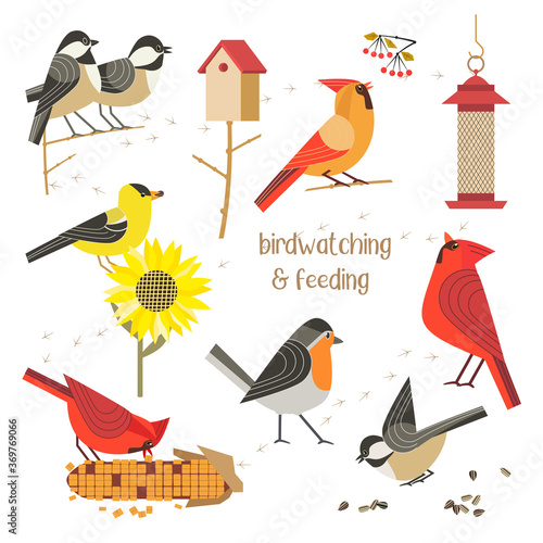 Bird watching feeding vector icons collection