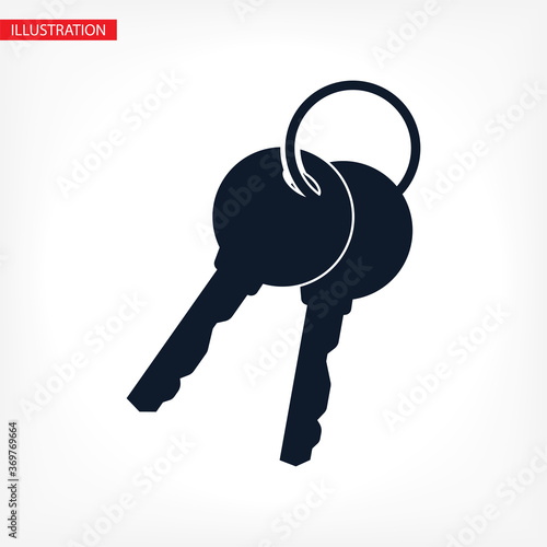 Vector icon key, design illustration for web key. Flat style key.