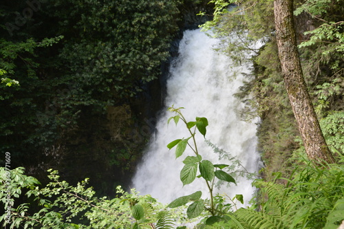 Waterfall in forest.