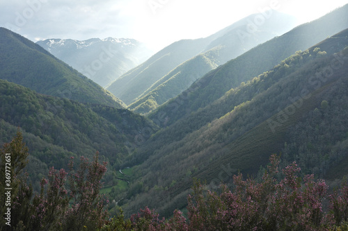 Wooded mountains illuminated by sunlight creating a beautiful atmosphere, with a very bright sky. Muniellos National Reserve, Asturias, Spain.