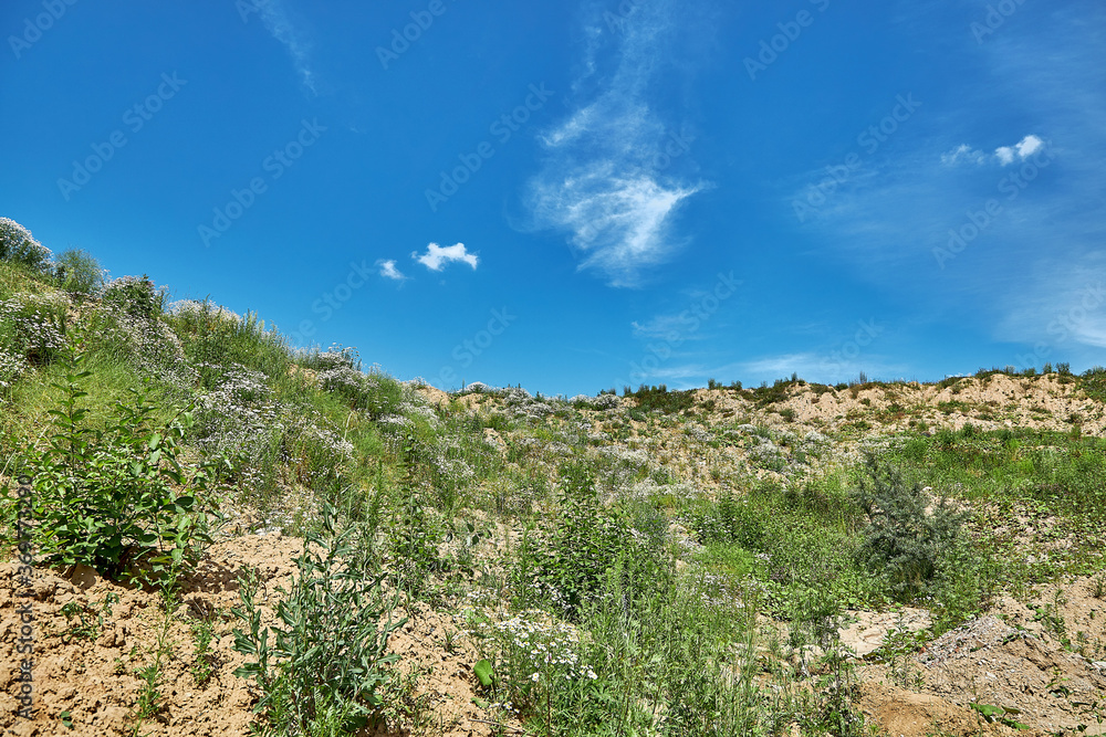Land with sparse grass in front of a blue sky