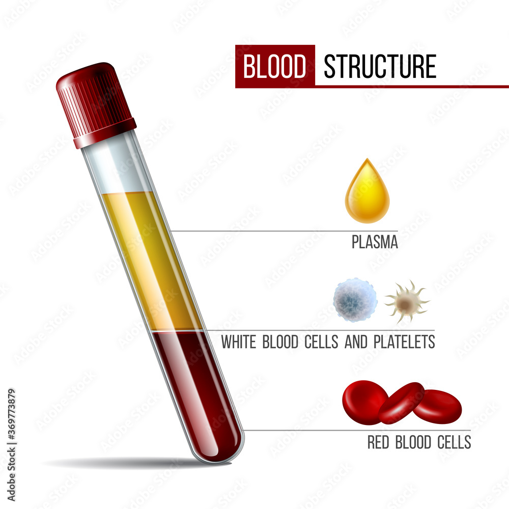 Glassware tube filled Fractioned blood, plasma and layers red
