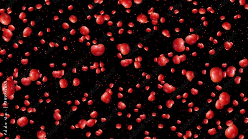 Tomatoes rotate and fall on a black background Tomatoes rotate and fall on a black background