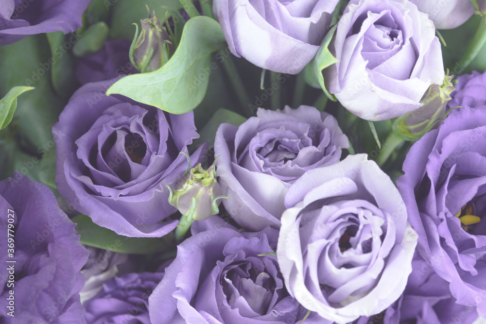 Obraz premium Beautiful bouquet of white and purple flowers. Decorative flower arrangement for the holiday. Closeup.