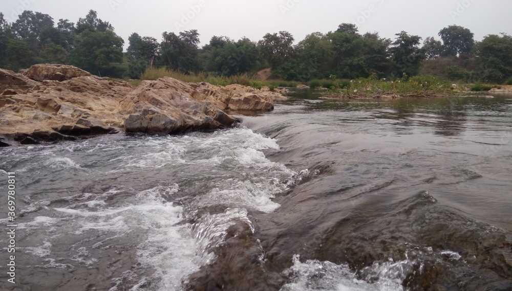 river in the forest