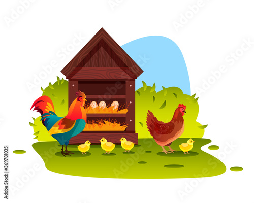 Chicken farm illustration with cock, hen, wooden perch, eggs, green bush and grass. Poultry organic farming background with chicken, rooster in cartoon flat style. Kids nature vector illustration