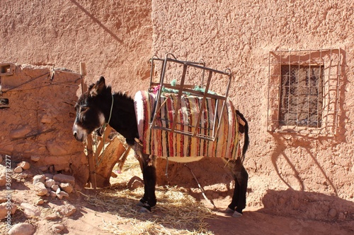 Carriage donkey