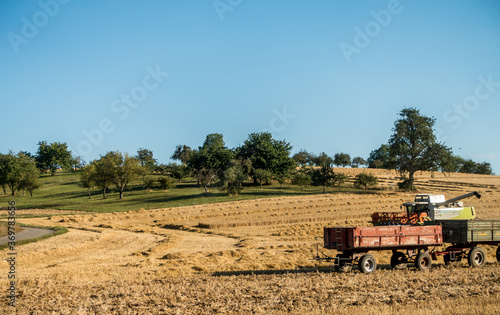 Wallpaper Mural Mähdrescher bei der Ernte Torontodigital.ca