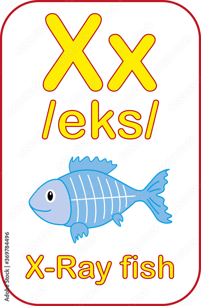 Letter X. Alphabet tutorial cards collection. Vector illustration