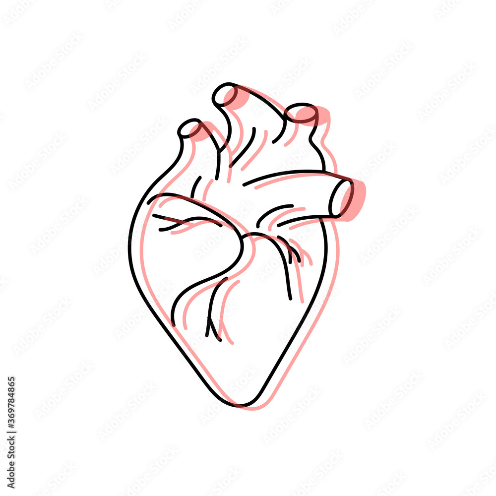 human heart design over white background vector illustration