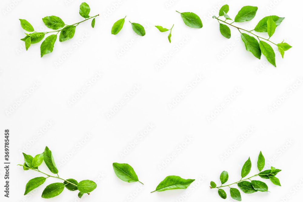 Top view frame of green leaves. Nature concept layout Top view frame of green leaves. Nature concept layout