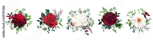 Burgundy red rose flowers, white ivory peony, carnation vector design