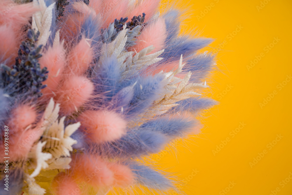 Dried flowers cotton and lagurus bouquet on yellow background